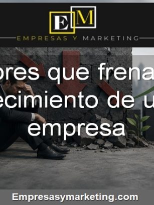 los errores más importantes que frenan el crecimiento de una empresa